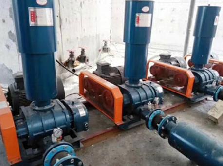 羅茨風機 羅茨風機